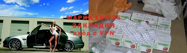 прущие грибы Армянск