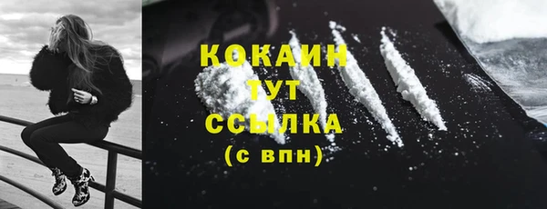 прущие грибы Армянск