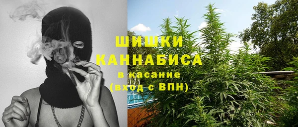сатива Аркадак