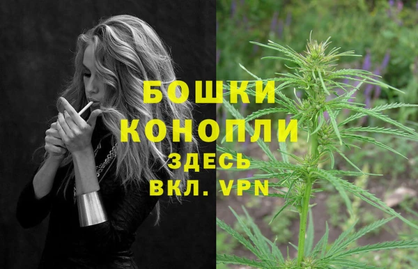 сатива Аркадак