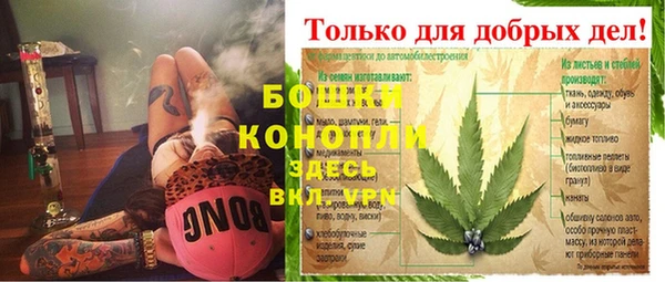 сатива Аркадак