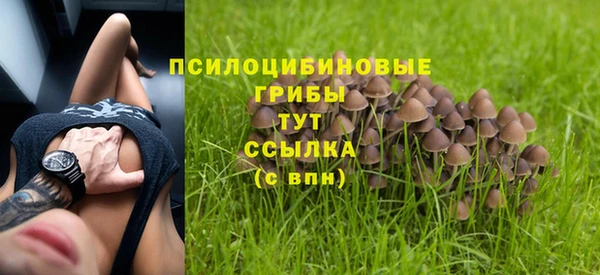 сатива Аркадак