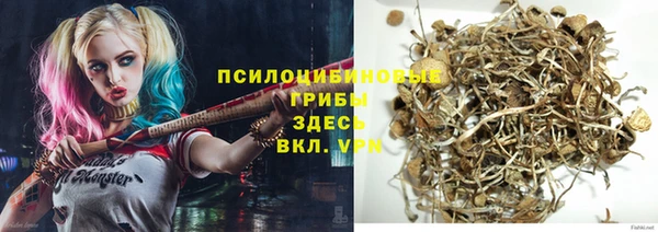 PSILOCYBIN Арсеньев