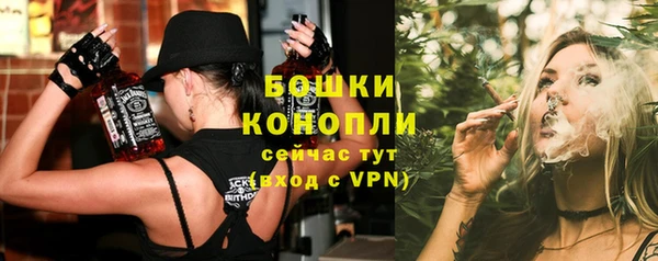 сатива Аркадак