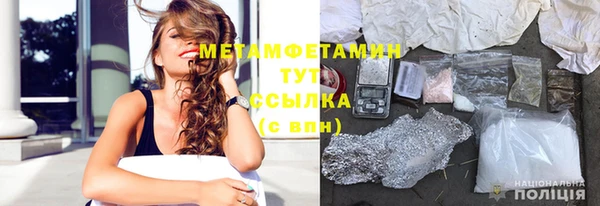 прущие грибы Армянск