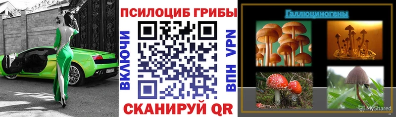 Галлюциногенные грибы ЛСД  что такое   Руза 